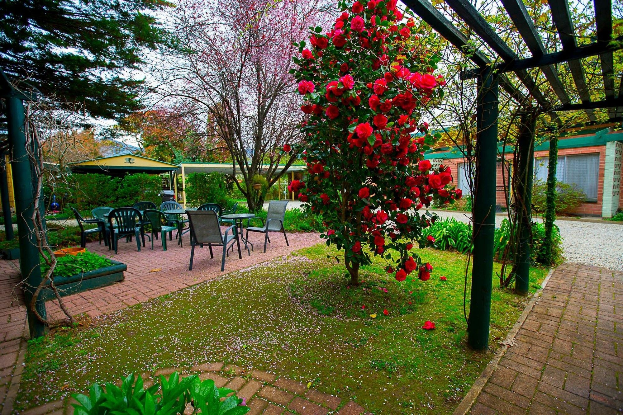 Carawatha Gardens Villa Брайт Екстериор снимка
